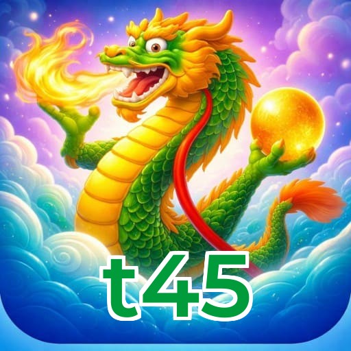 t45 Logo